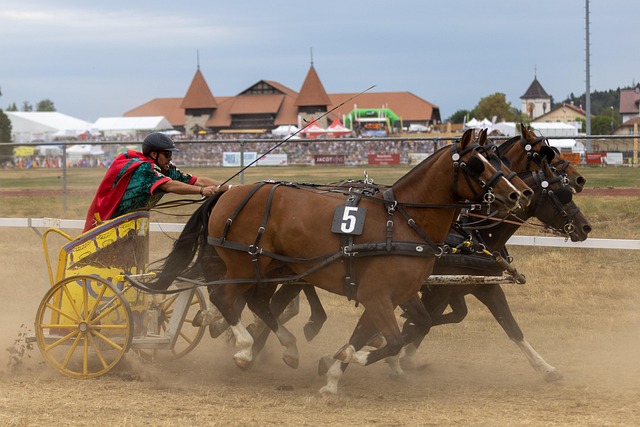 走向一直是 走向一直是