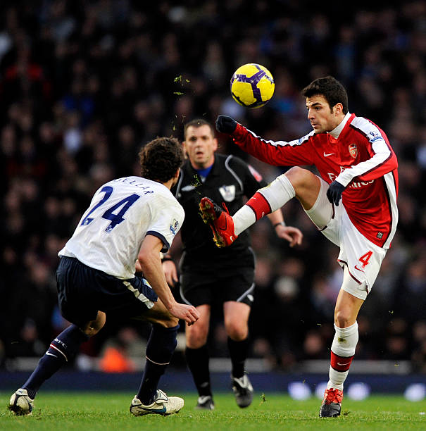 猛龙本场胜 猛龙本场胜